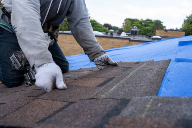 Best Flat Roof Repair Services  in Shenandoah Heights, PA