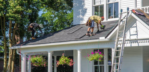 Best Roof Gutter Cleaning  in Shenandoah Heights, PA